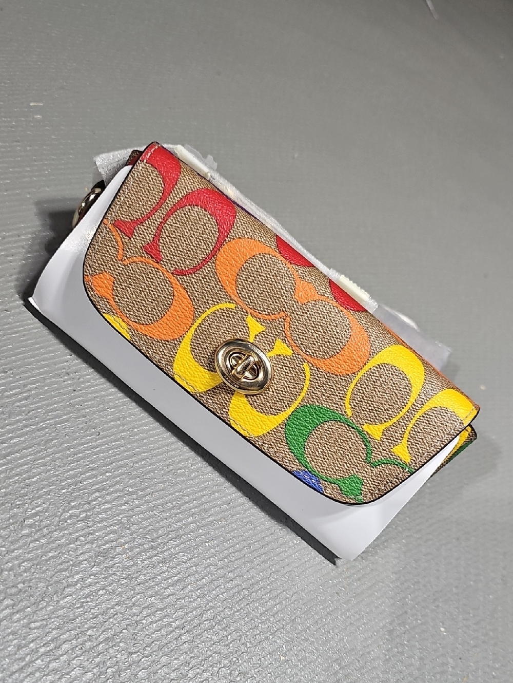 COACH CA053 NWT Pride Rainbow Signature Canvas Sunglass Case Pride Collection - Picture 2 of 10